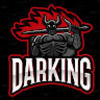darkingyt